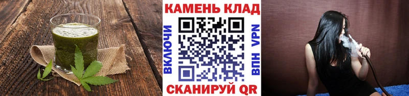 нарко площадка официальный сайт  Выборг  Cannafood конопля  наркота 