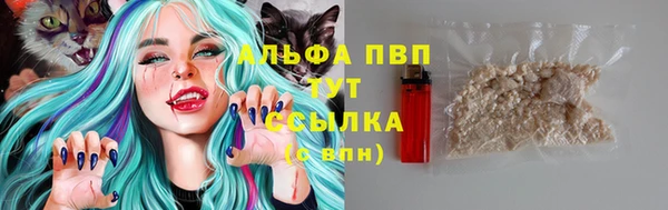 прущие крисы Верея