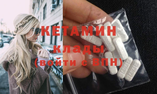 шишки Сатка