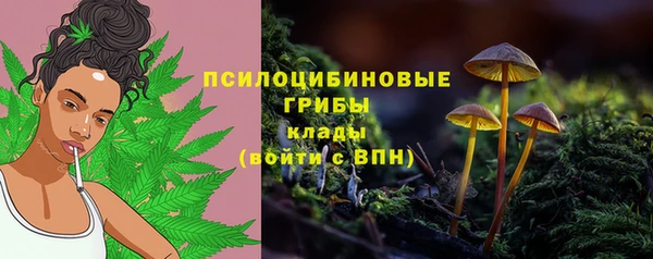 дмт Сафоново