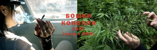 прущие грибы Верхнеуральск